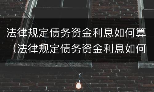 法律规定债务资金利息如何算（法律规定债务资金利息如何算的）