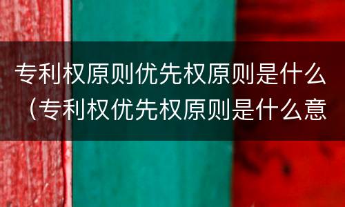 专利权原则优先权原则是什么（专利权优先权原则是什么意思）