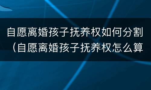 自愿离婚孩子抚养权如何分割（自愿离婚孩子抚养权怎么算）