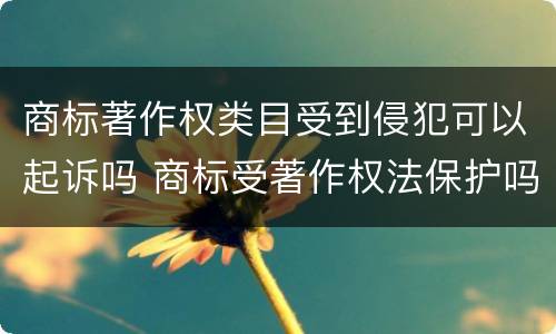 商标著作权类目受到侵犯可以起诉吗 商标受著作权法保护吗