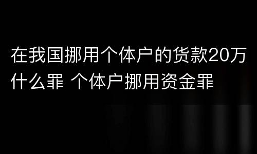 在我国挪用个体户的货款20万什么罪 个体户挪用资金罪