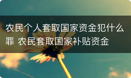 农民个人套取国家资金犯什么罪 农民套取国家补贴资金