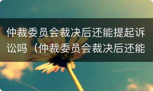 仲裁委员会裁决后还能提起诉讼吗（仲裁委员会裁决后还能提起诉讼吗知乎）