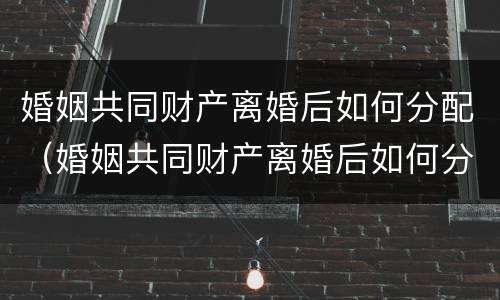 婚姻共同财产离婚后如何分配（婚姻共同财产离婚后如何分配抚养费）