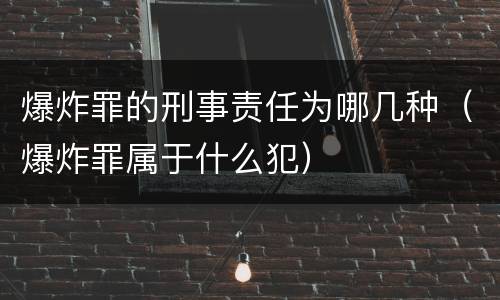 爆炸罪的刑事责任为哪几种（爆炸罪属于什么犯）