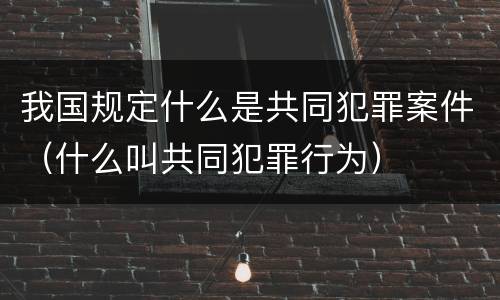 我国规定什么是共同犯罪案件（什么叫共同犯罪行为）