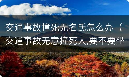 交通事故撞死无名氏怎么办（交通事故无意撞死人,要不要坐牢?）