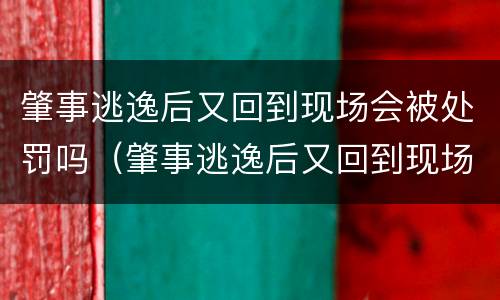 肇事逃逸后又回到现场会被处罚吗（肇事逃逸后又回到现场会被处罚吗知乎）