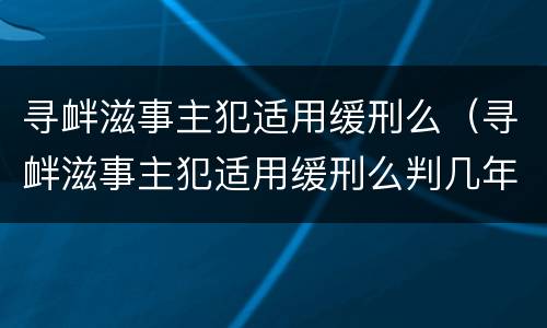 寻衅滋事主犯适用缓刑么（寻衅滋事主犯适用缓刑么判几年）