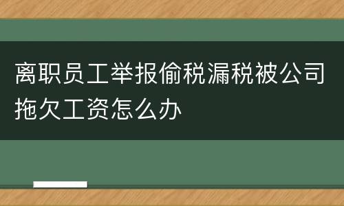 离职员工举报偷税漏税被公司拖欠工资怎么办