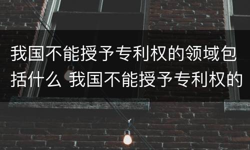 我国不能授予专利权的领域包括什么 我国不能授予专利权的领域包括什么内容