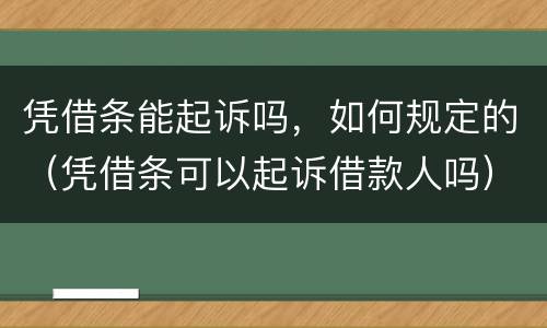 凭借条能起诉吗，如何规定的（凭借条可以起诉借款人吗）