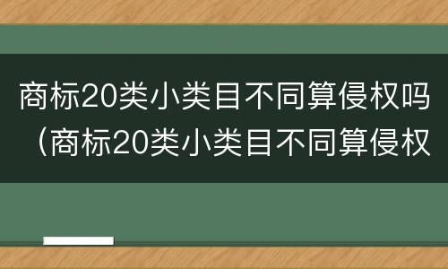 商标20类小类目不同算侵权吗（商标20类小类目不同算侵权吗知乎）