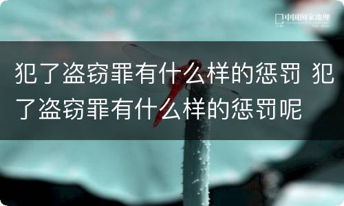 犯了盗窃罪有什么样的惩罚 犯了盗窃罪有什么样的惩罚呢