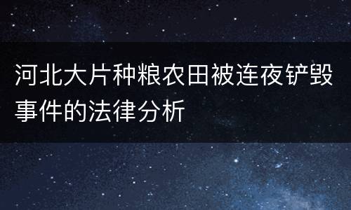 河北大片种粮农田被连夜铲毁事件的法律分析