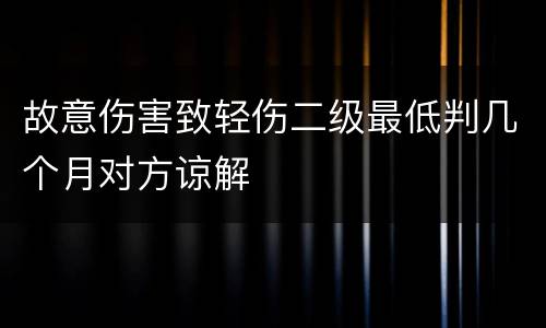 故意伤害致轻伤二级最低判几个月对方谅解