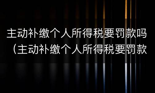 主动补缴个人所得税要罚款吗（主动补缴个人所得税要罚款吗）