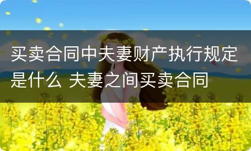 买卖合同中夫妻财产执行规定是什么 夫妻之间买卖合同