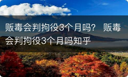 贩毒会判拘役3个月吗？ 贩毒会判拘役3个月吗知乎