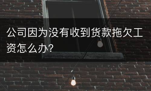 公司因为没有收到货款拖欠工资怎么办？