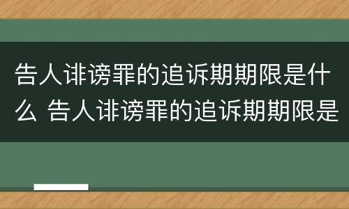 告人诽谤罪的追诉期期限是什么 告人诽谤罪的追诉期期限是什么时间