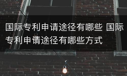 国际专利申请途径有哪些 国际专利申请途径有哪些方式