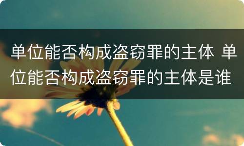 单位能否构成盗窃罪的主体 单位能否构成盗窃罪的主体是谁