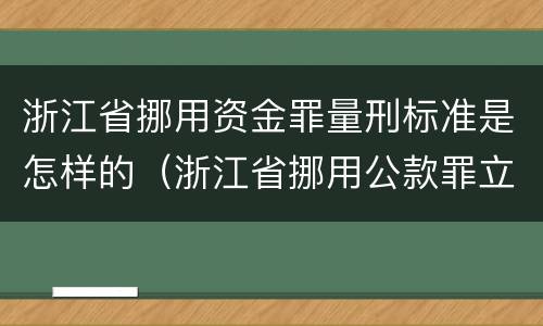 浙江省挪用资金罪量刑标准是怎样的（浙江省挪用公款罪立案标准）