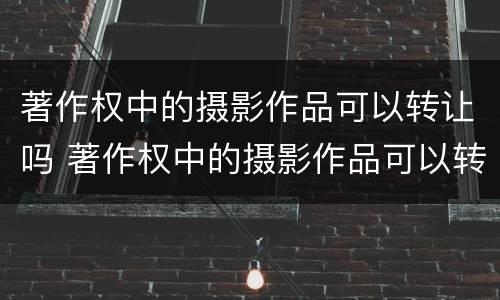 著作权中的摄影作品可以转让吗 著作权中的摄影作品可以转让吗知乎