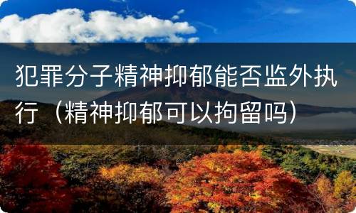 犯罪分子精神抑郁能否监外执行（精神抑郁可以拘留吗）