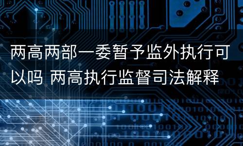 两高两部一委暂予监外执行可以吗 两高执行监督司法解释