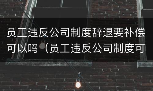 员工违反公司制度辞退要补偿可以吗（员工违反公司制度可以开除吗）