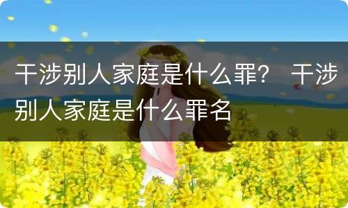 干涉别人家庭是什么罪？ 干涉别人家庭是什么罪名