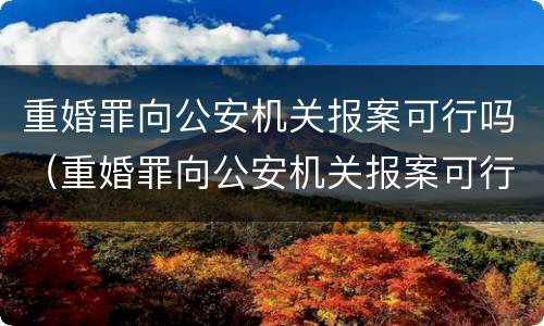 重婚罪向公安机关报案可行吗（重婚罪向公安机关报案可行吗）