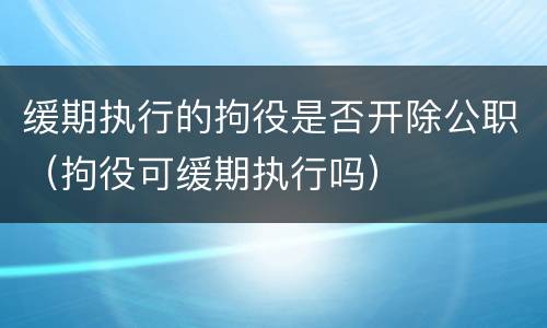 缓期执行的拘役是否开除公职（拘役可缓期执行吗）