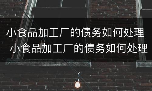 小食品加工厂的债务如何处理 小食品加工厂的债务如何处理呢