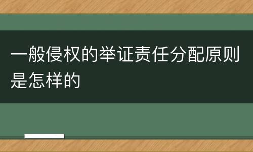 一般侵权的举证责任分配原则是怎样的