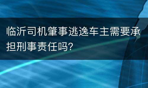 临沂司机肇事逃逸车主需要承担刑事责任吗？