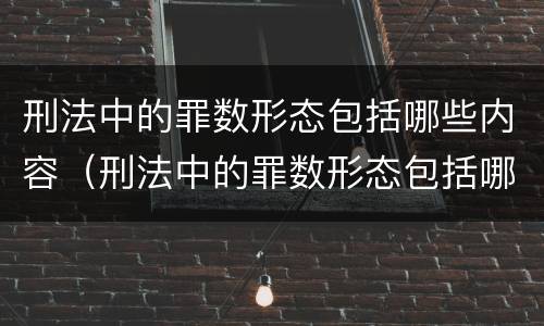 刑法中的罪数形态包括哪些内容（刑法中的罪数形态包括哪些内容和特征）