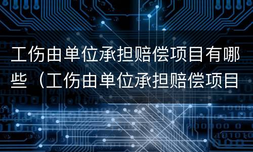 工伤由单位承担赔偿项目有哪些（工伤由单位承担赔偿项目有哪些费用）