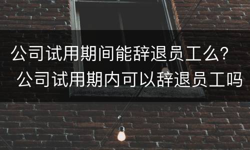 公司试用期间能辞退员工么？ 公司试用期内可以辞退员工吗