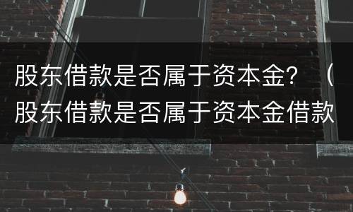 股东借款是否属于资本金？（股东借款是否属于资本金借款）