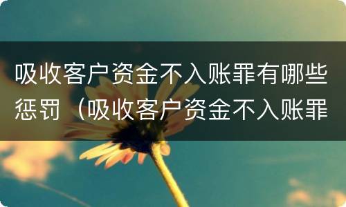 吸收客户资金不入账罪有哪些惩罚（吸收客户资金不入账罪有哪些惩罚呢）