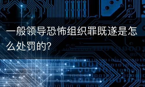 一般领导恐怖组织罪既遂是怎么处罚的？