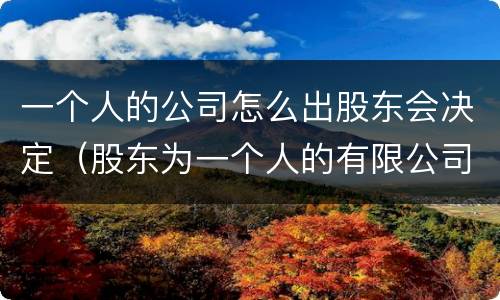 一个人的公司怎么出股东会决定（股东为一个人的有限公司）