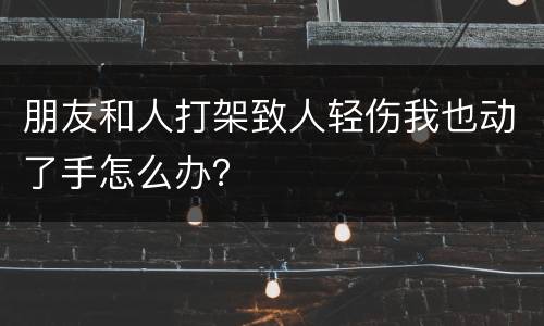 朋友和人打架致人轻伤我也动了手怎么办？