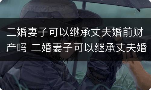 二婚妻子可以继承丈夫婚前财产吗 二婚妻子可以继承丈夫婚前财产吗视频