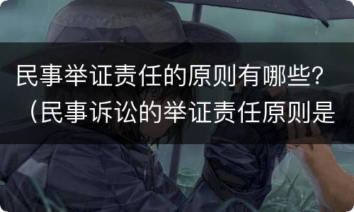 民事举证责任的原则有哪些？（民事诉讼的举证责任原则是什么）