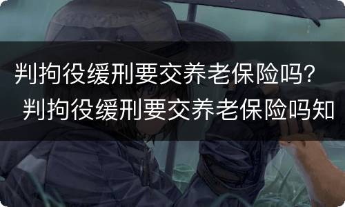 判拘役缓刑要交养老保险吗？ 判拘役缓刑要交养老保险吗知乎