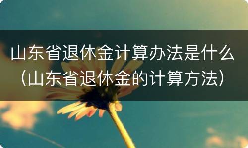 山东省退休金计算办法是什么（山东省退休金的计算方法）